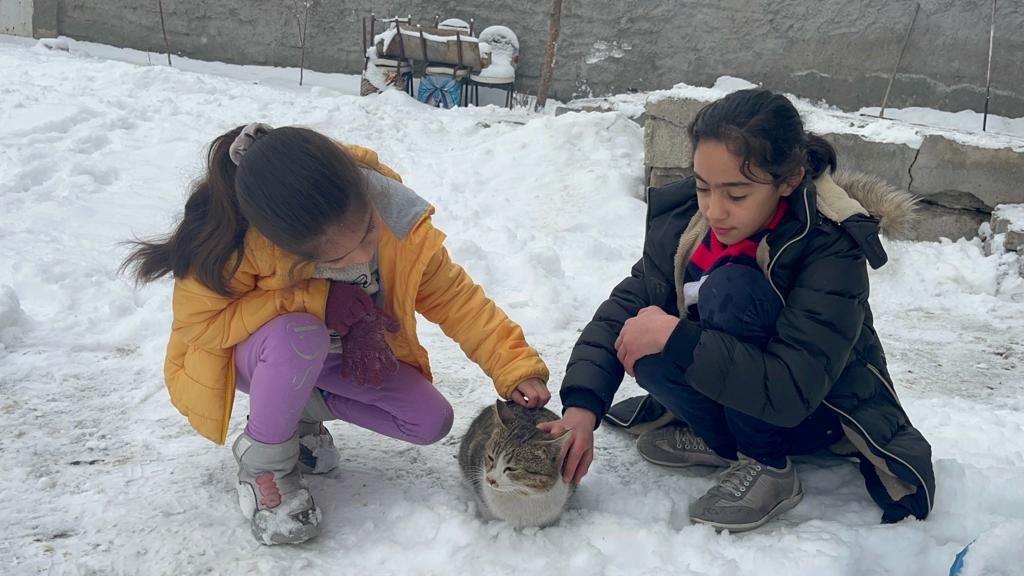 Ağrı’da soğuk hava sokak hayvanlarına zor anlar yaşatıyor