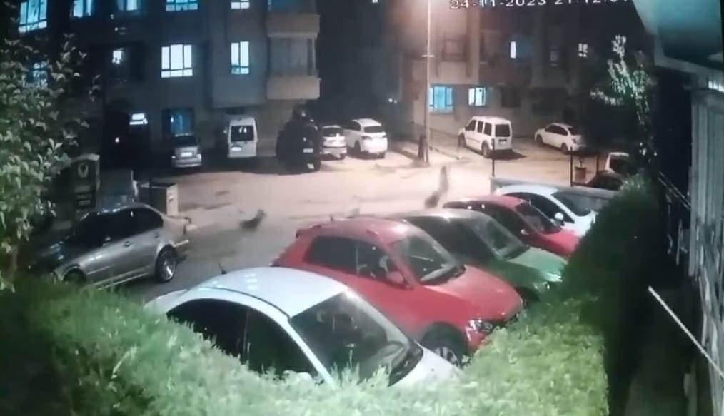 Ankara'da sokak köpeği dehşeti: Baba ve bir yaşındaki oğlu feci şekilde yarandı!