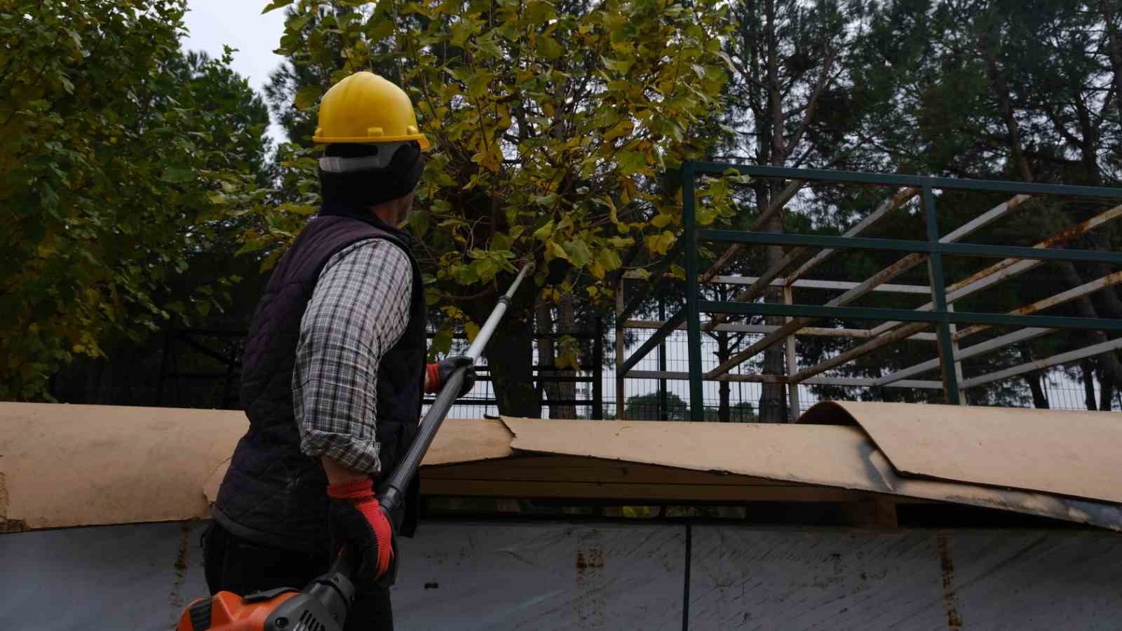 Budanan ağaçlar ihtiyaç sahiplerine yakacak olacak