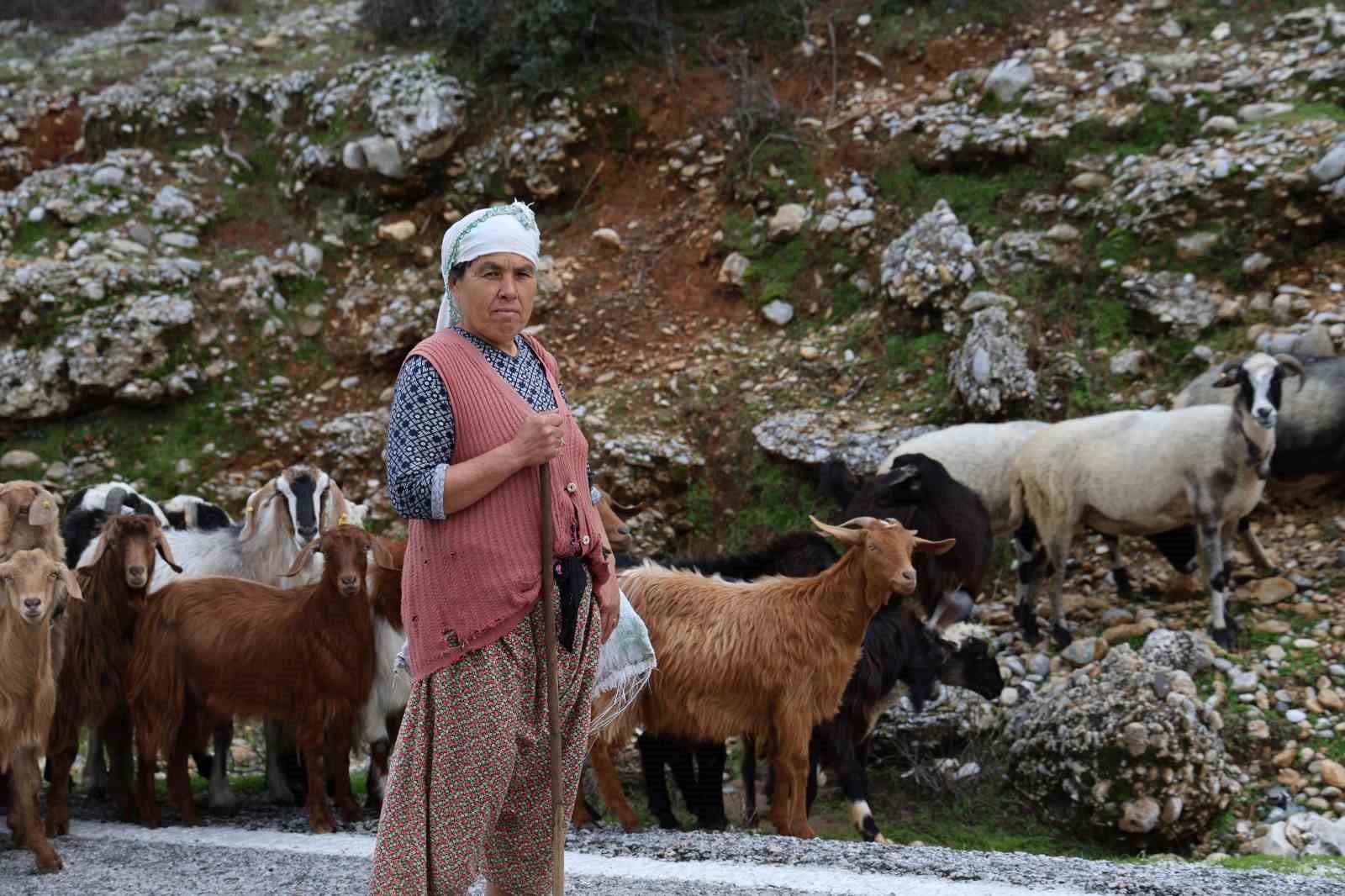 Çobanlık mesleği de unutulmaya yüz tuttu