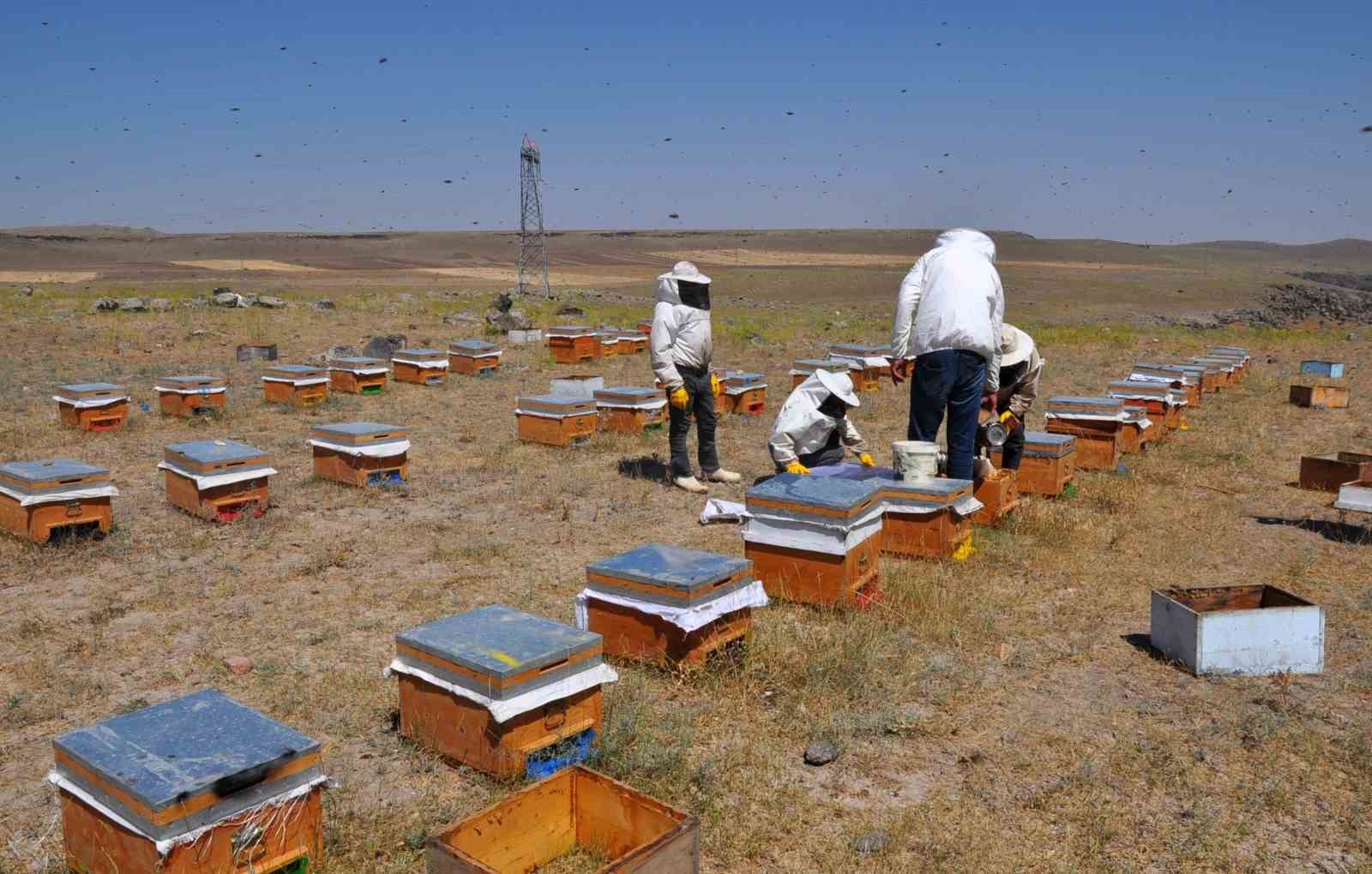 Arıcılar kara kışın ortasında arılara bakım ve yemleme yapıyor