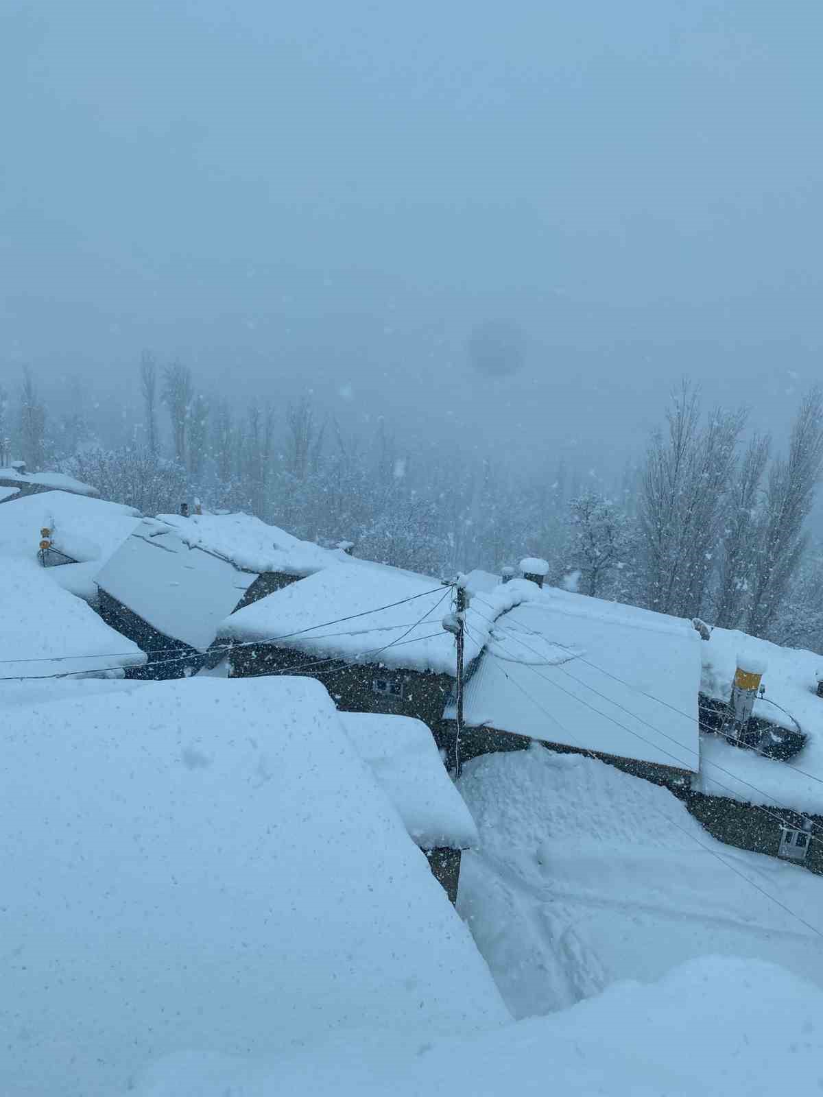 Bahçesaray’da kar kalınlığı 50 santimetreye ulaştı