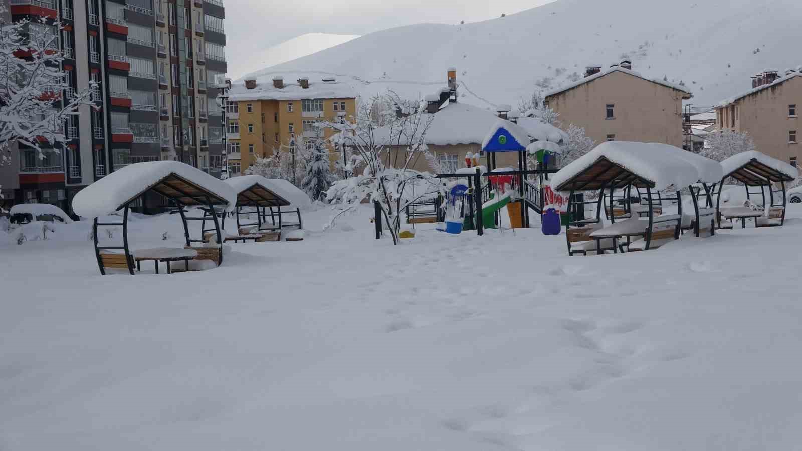 Kar Bitlis’i esir aldı
