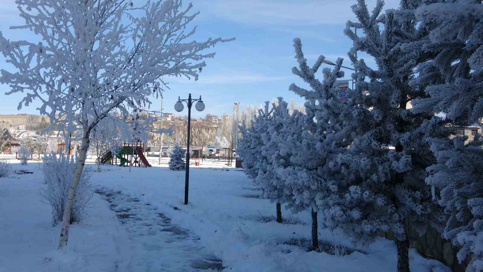 Ardahan’da dondurucu soğukları: Göle -29,8 derece