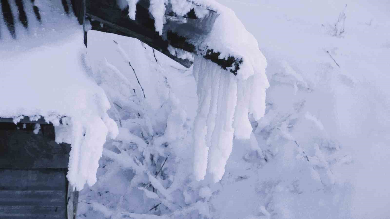 Ardahan’da dondurucu soğukları: Göle -29,8 derece
