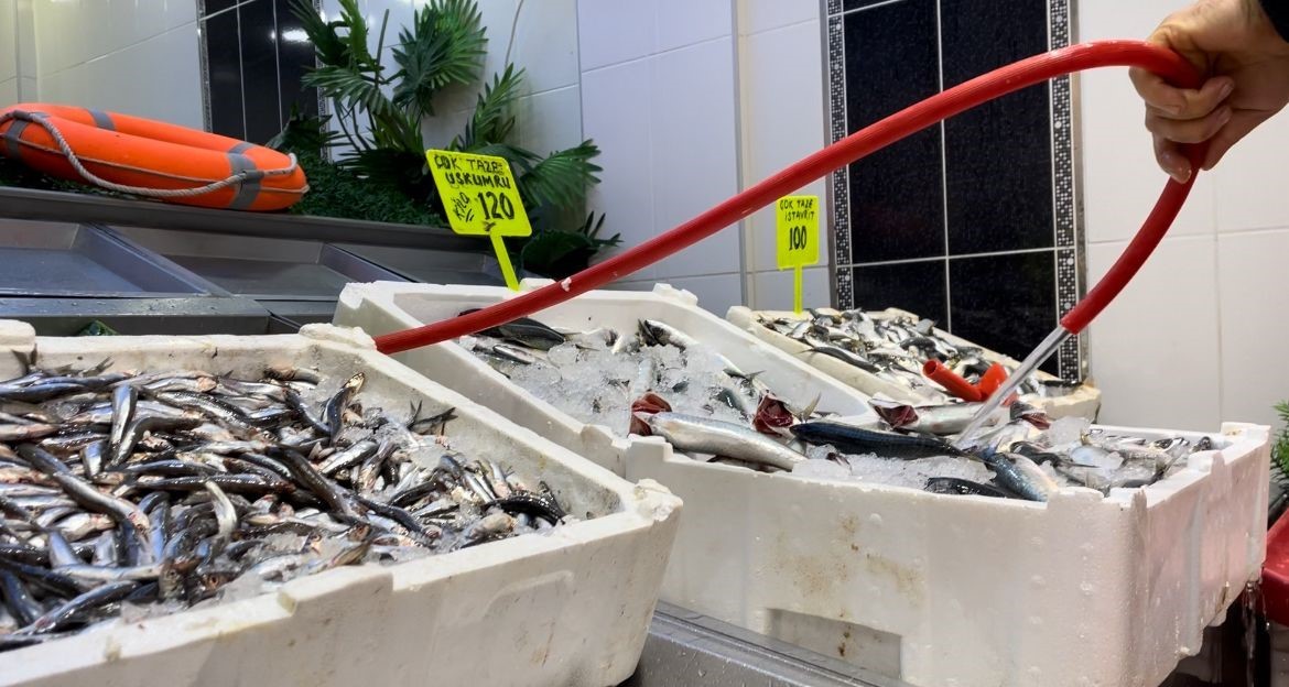 Balıkçı tezgahlarındaki çeşitliliğin azlığı fiyatlara yansıyor