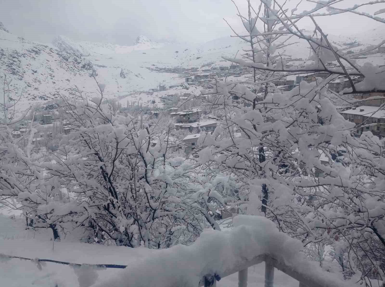 Hakkari kar hapsinde: Okullar tatil edildi, 284 yerleşim yerinin yolu kapandı