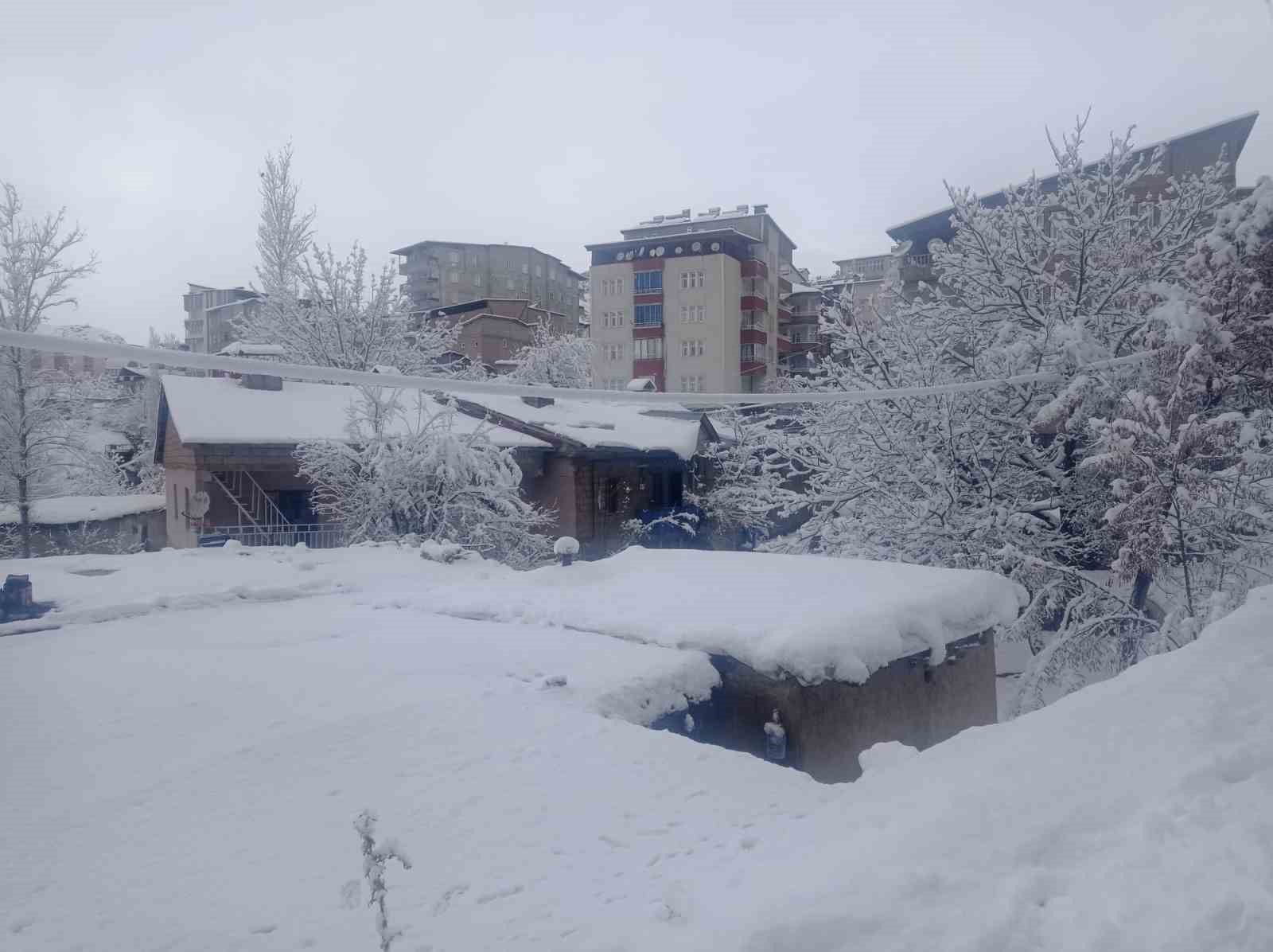 Hakkari kar hapsinde: Okullar tatil edildi, 284 yerleşim yerinin yolu kapandı