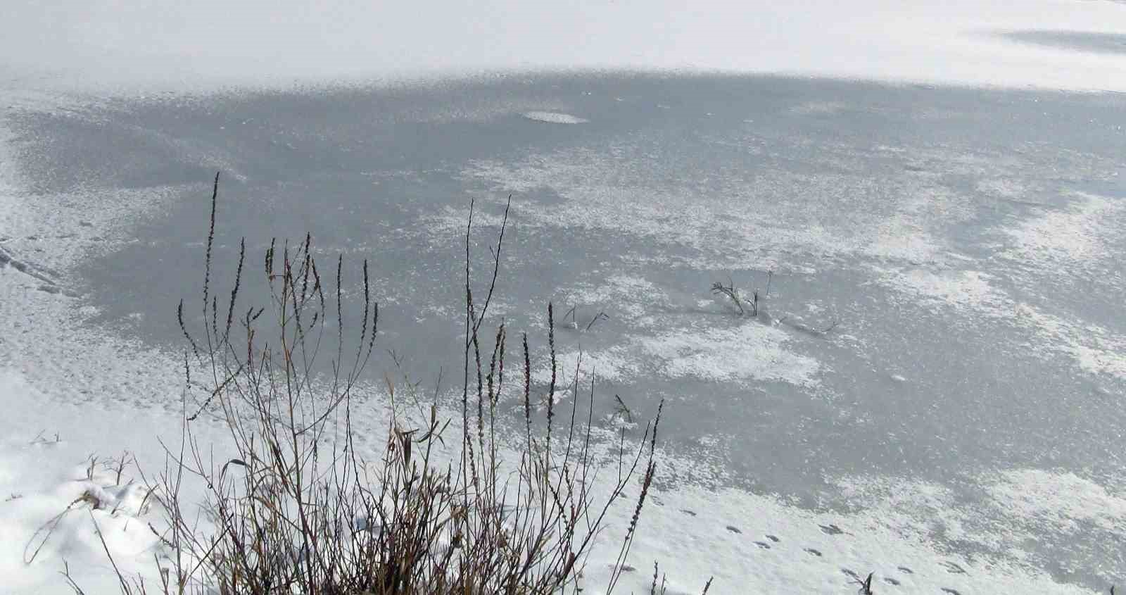 Kuş cenneti buz tuttu