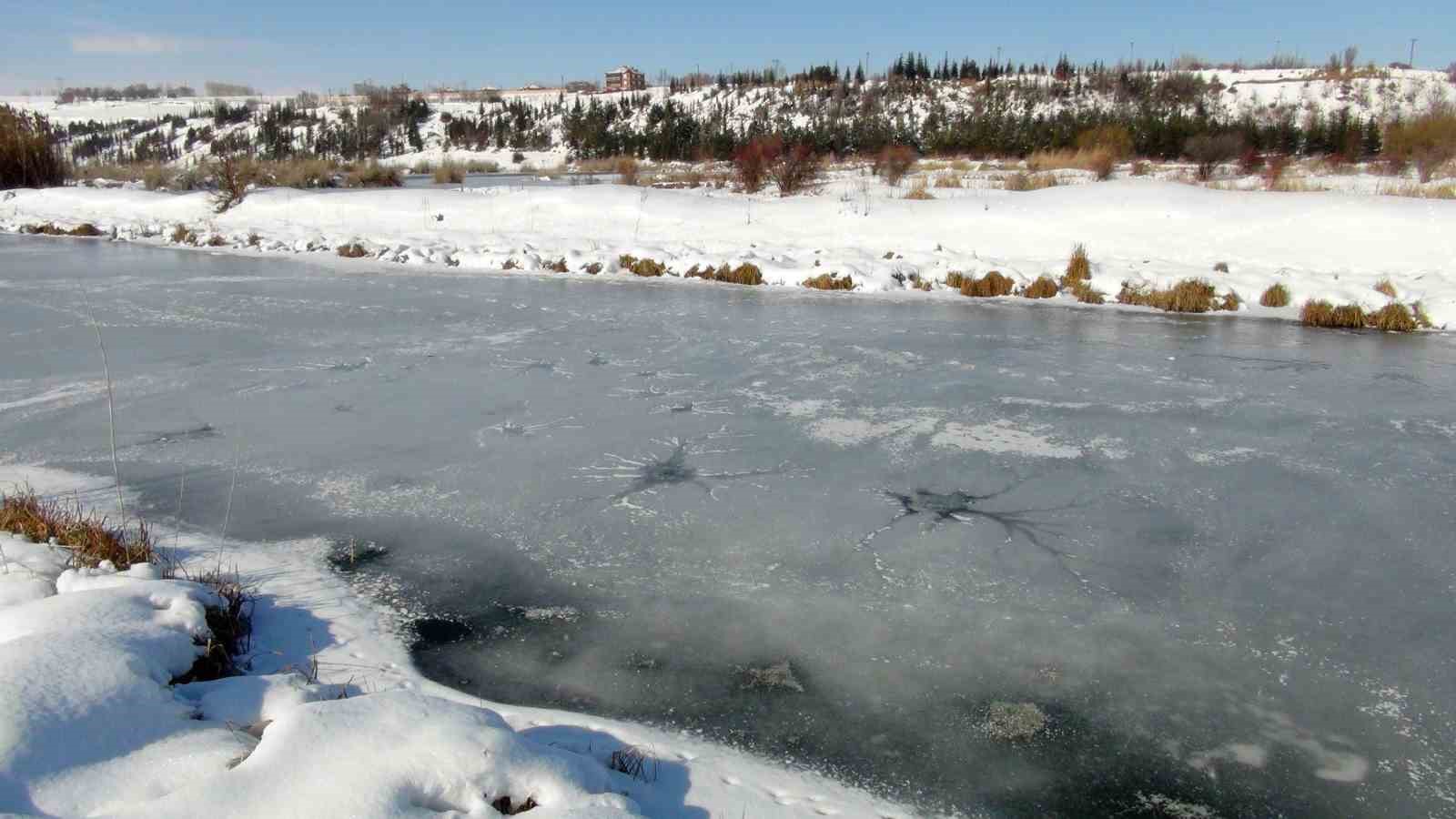 Kuş cenneti buz tuttu