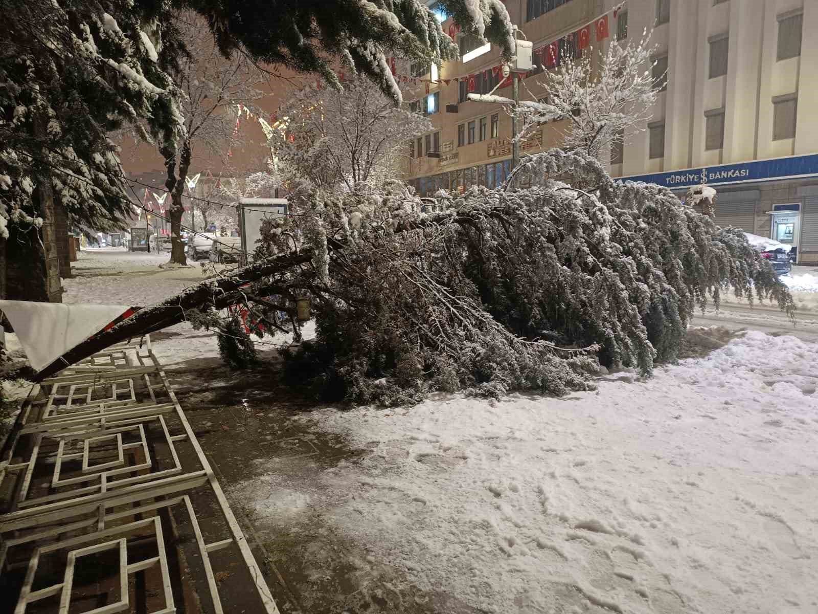 Van’da aşırı kar yağışına dayanamayan ağaç yola devrildi