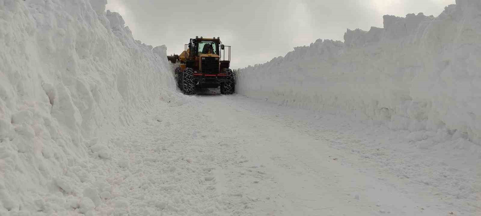 Van’da mahalle yoluna çığ düştü