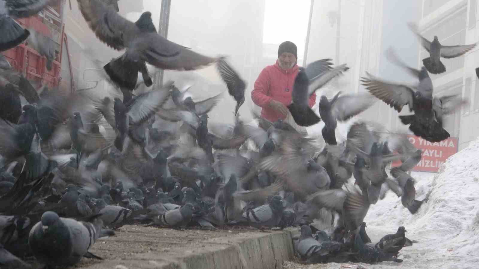 Aç kalan güvercinleri esnaf besliyor
