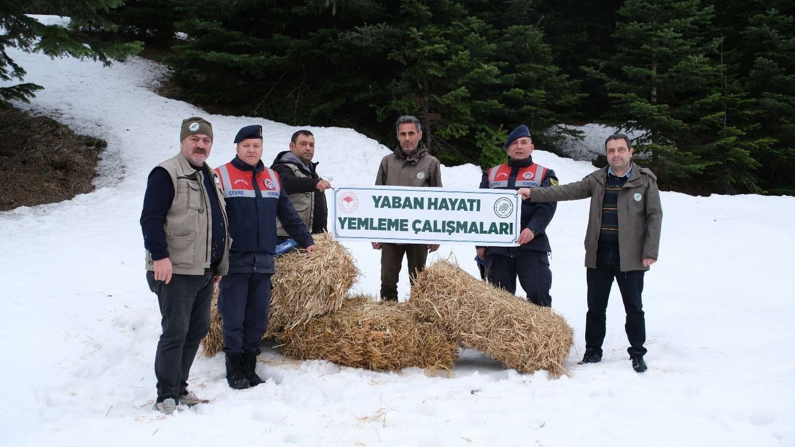 Jandarma ekipleri Dünya Yaban Hayatı Günü’nde doğaya yem bıraktı