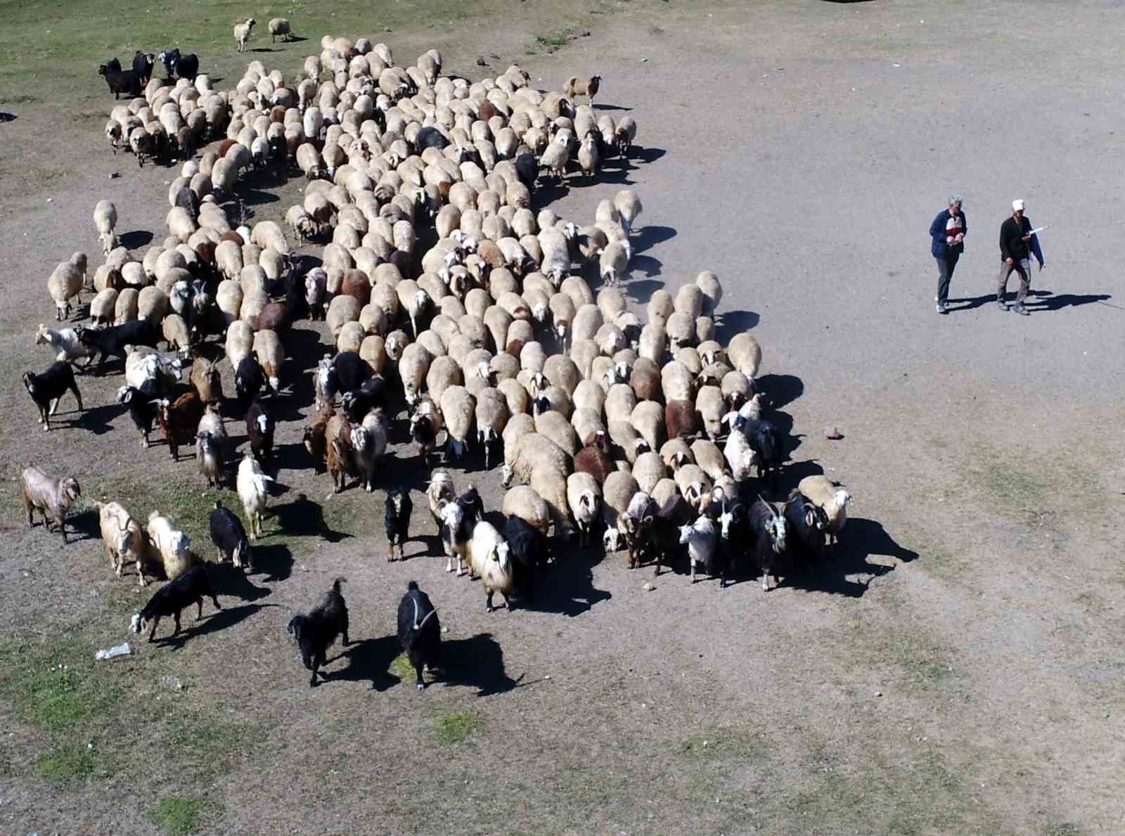 Havalar ısındı, meralar şenlendi