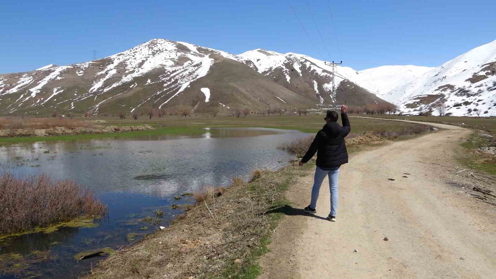 Tatvan’da tarım arazileri suya gömüldü