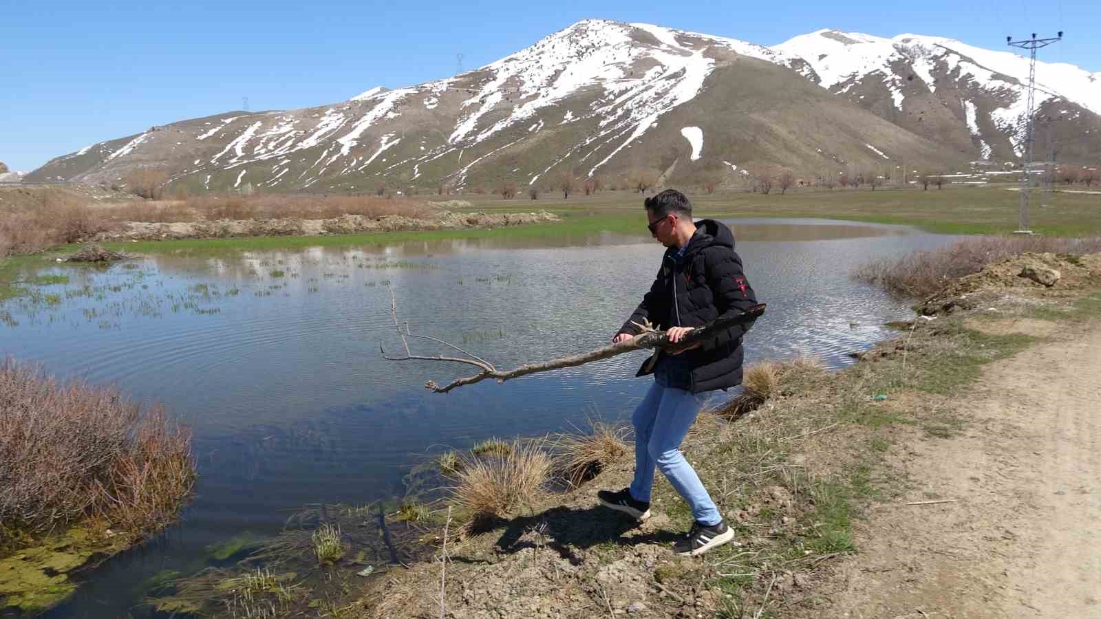 Tatvan’da tarım arazileri suya gömüldü