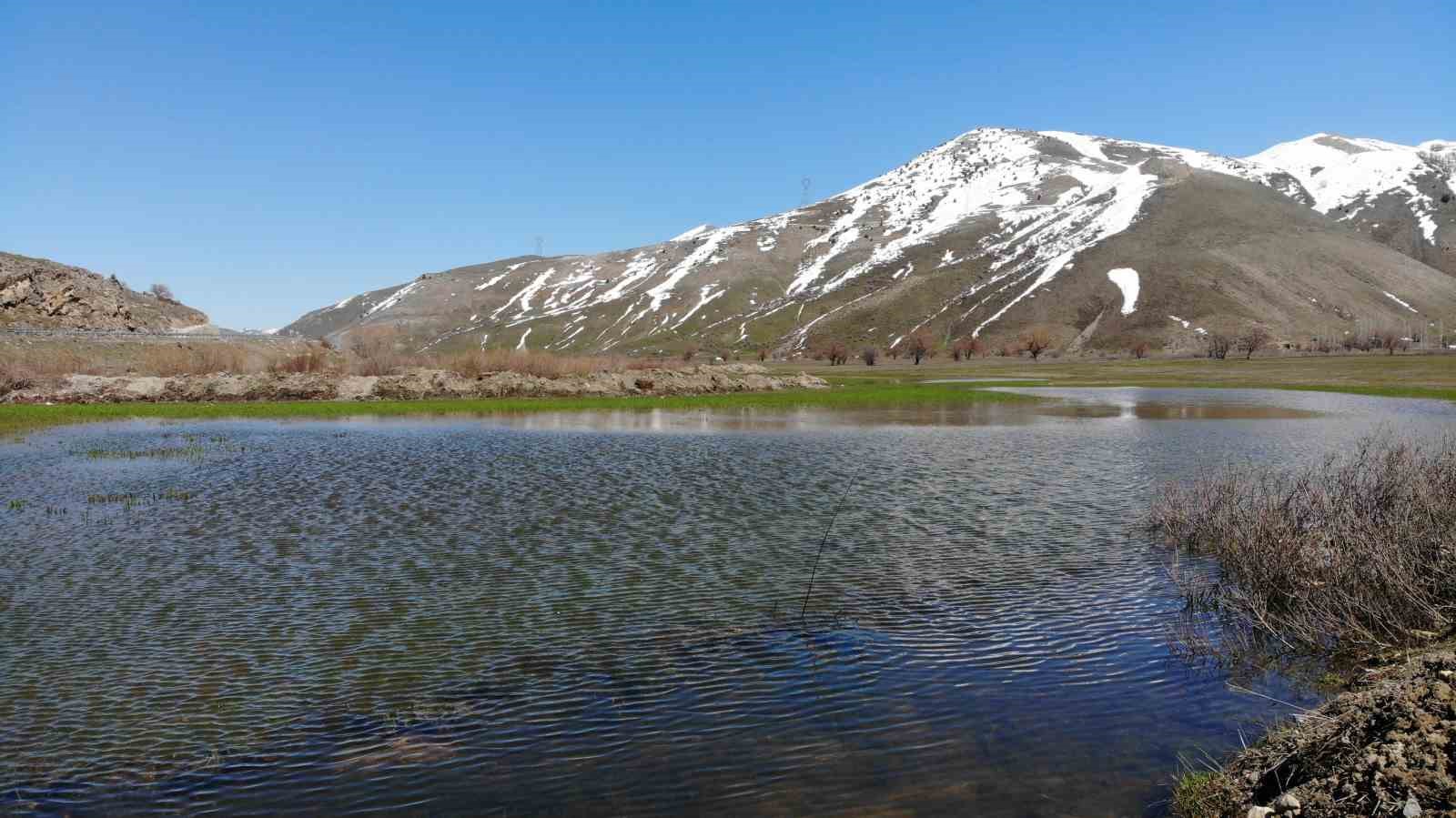 Tatvan’da tarım arazileri suya gömüldü