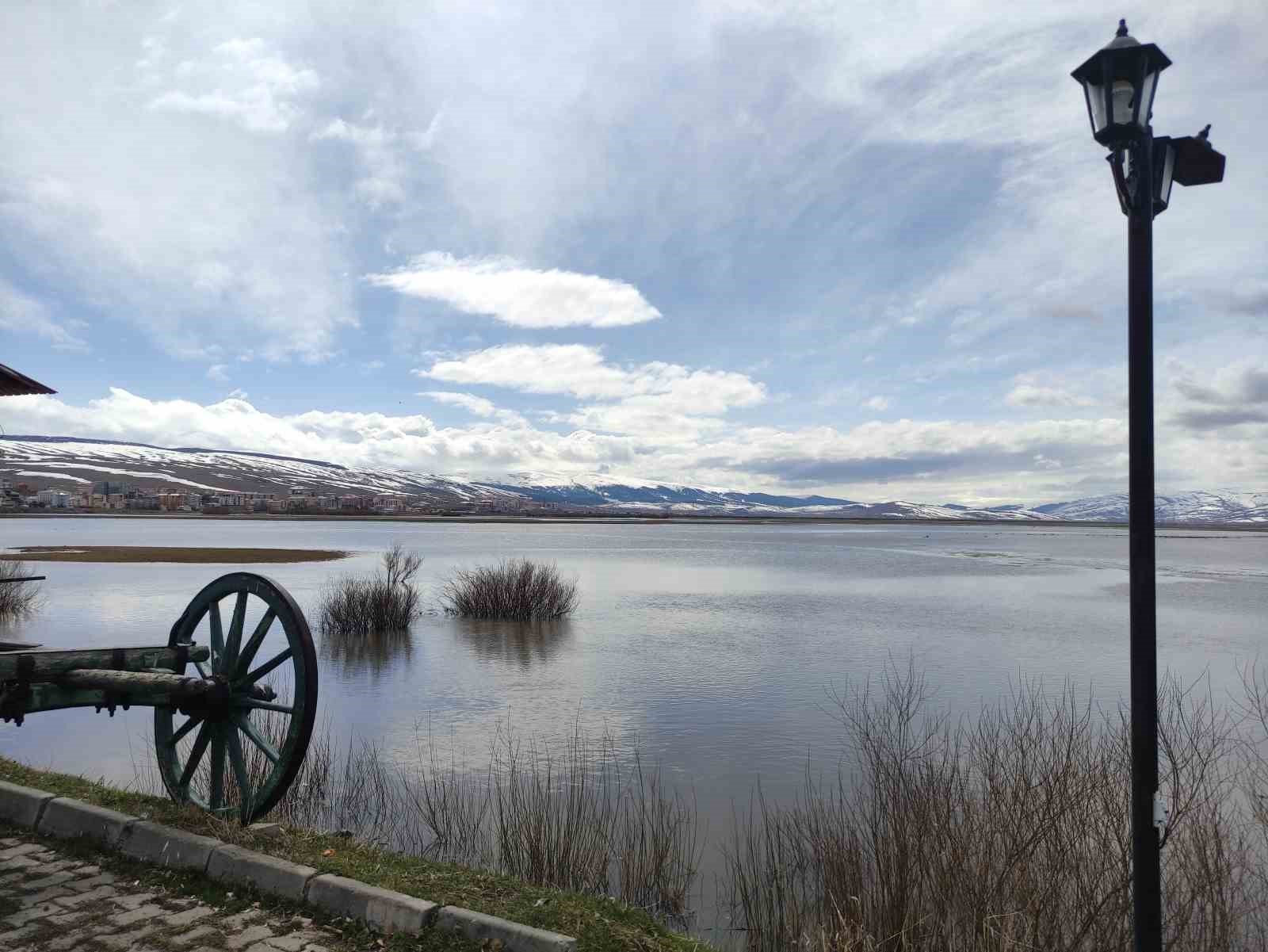 Ardahan’da nehir taştı, ova göle döndü