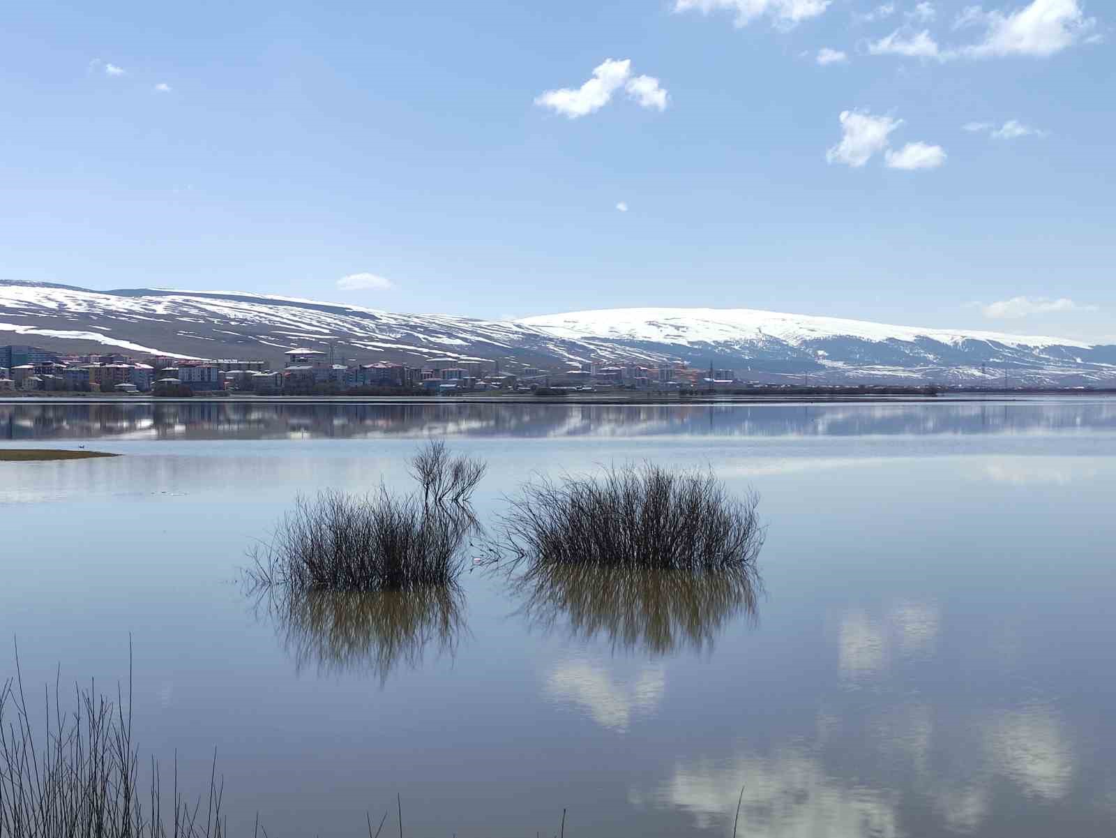 Ardahan’da nehir taştı, ova göle döndü