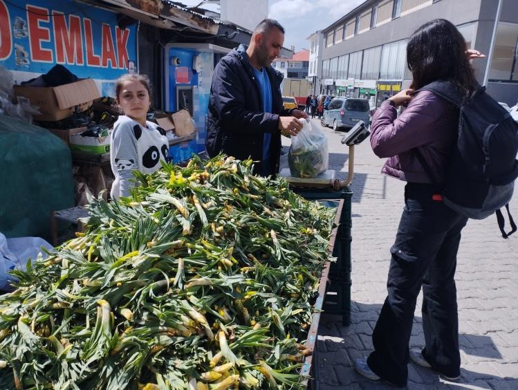 Baharın müjdeleyicisi gülbahar bitkisi tezgâhlarda yerini aldı