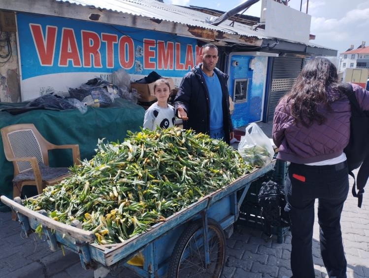 Baharın müjdeleyicisi gülbahar bitkisi tezgâhlarda yerini aldı