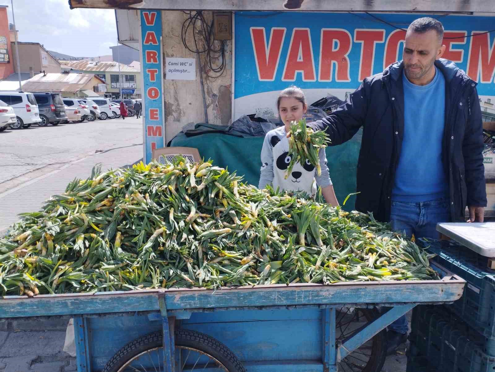 Baharın müjdeleyicisi gülbahar bitkisi tezgâhlarda yerini aldı