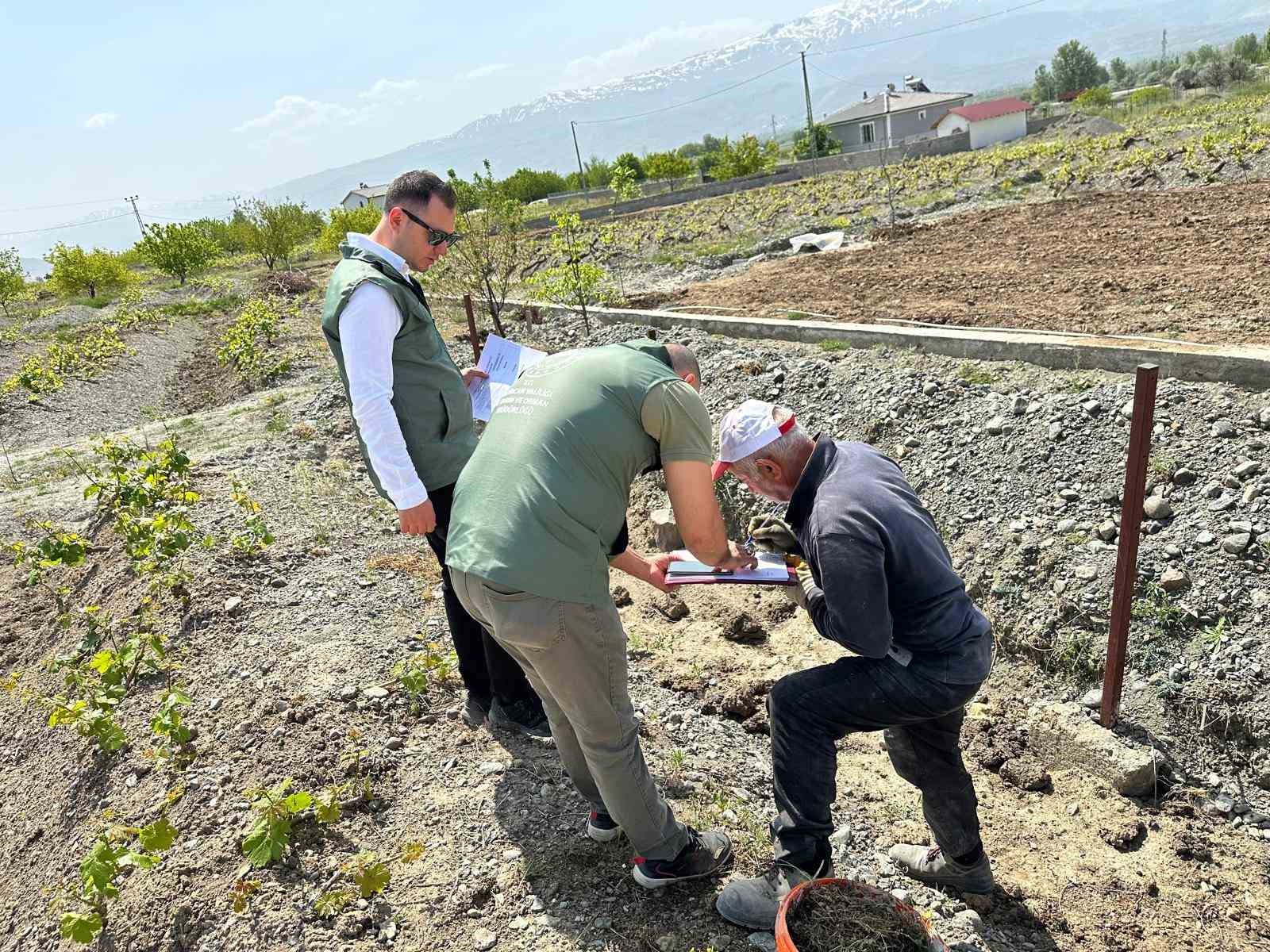 “Bağ Küllemesi Hastalıkları” yüzde 90 verim kaybına yol açabilir