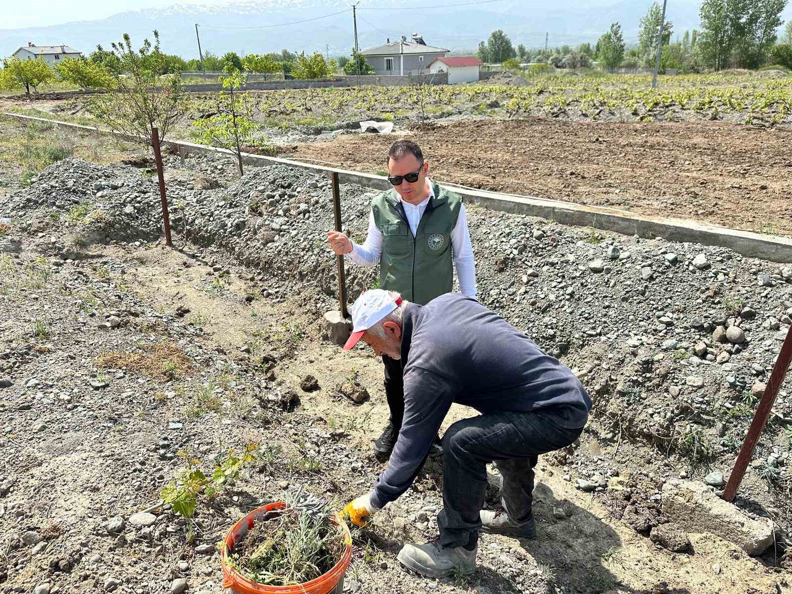 “Bağ Küllemesi Hastalıkları” yüzde 90 verim kaybına yol açabilir