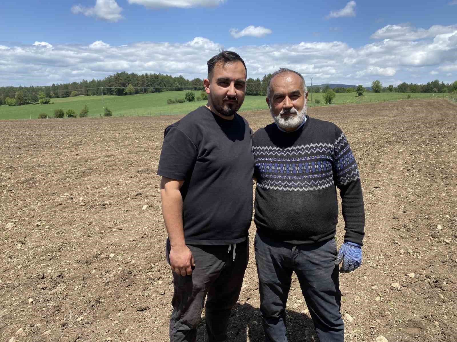 Denemek için karabuğday ektiler, çölyak hastalarından gelen taleplere yetişemez hale geldiler