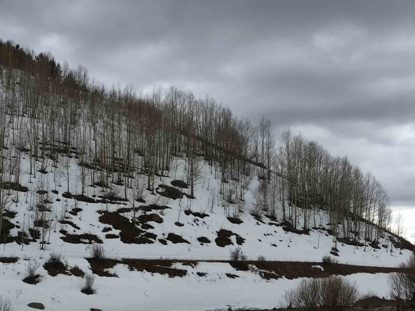 Ardahan’da bahar ve kış bir arada