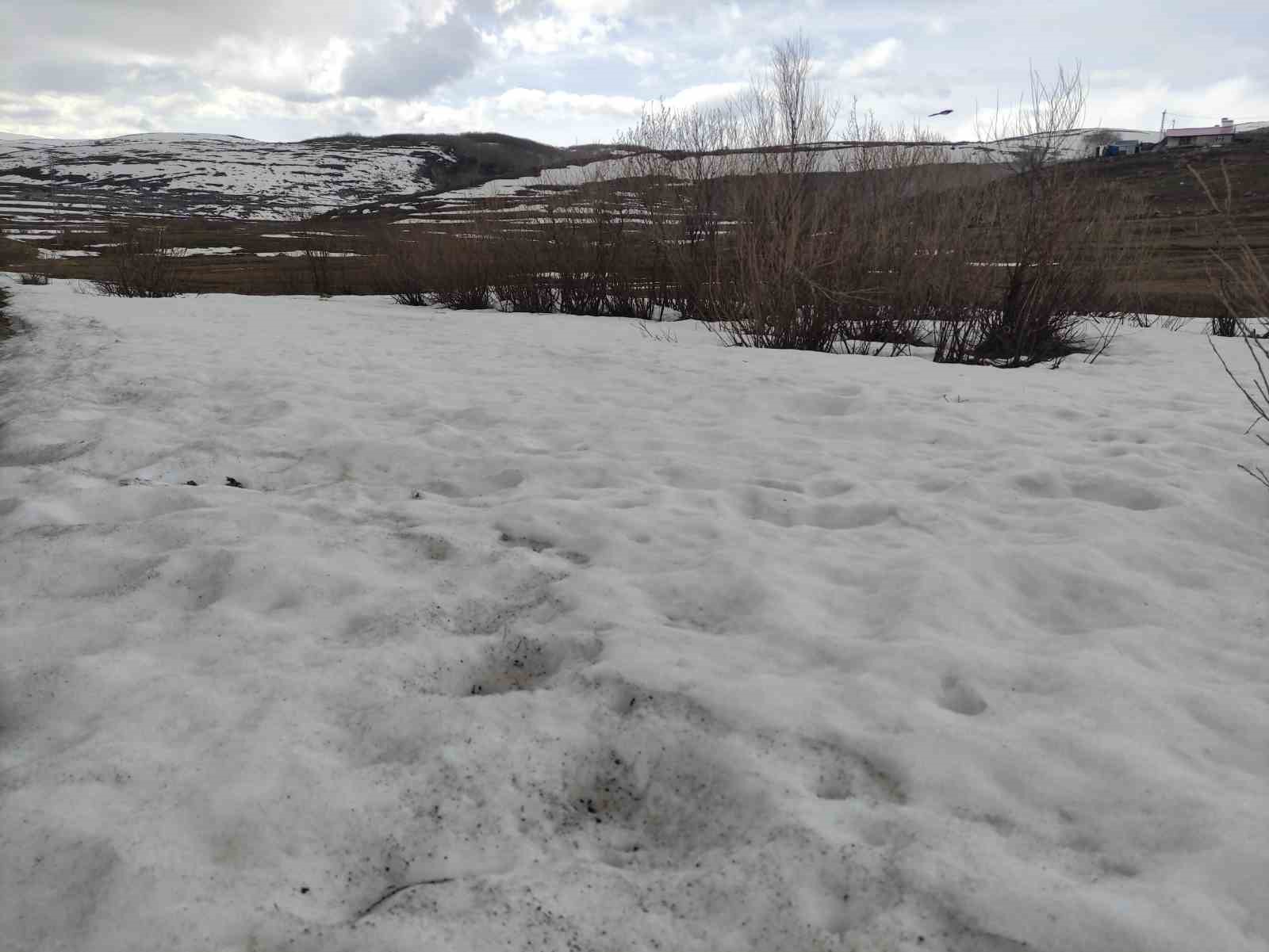 Ardahan’da bahar ve kış bir arada