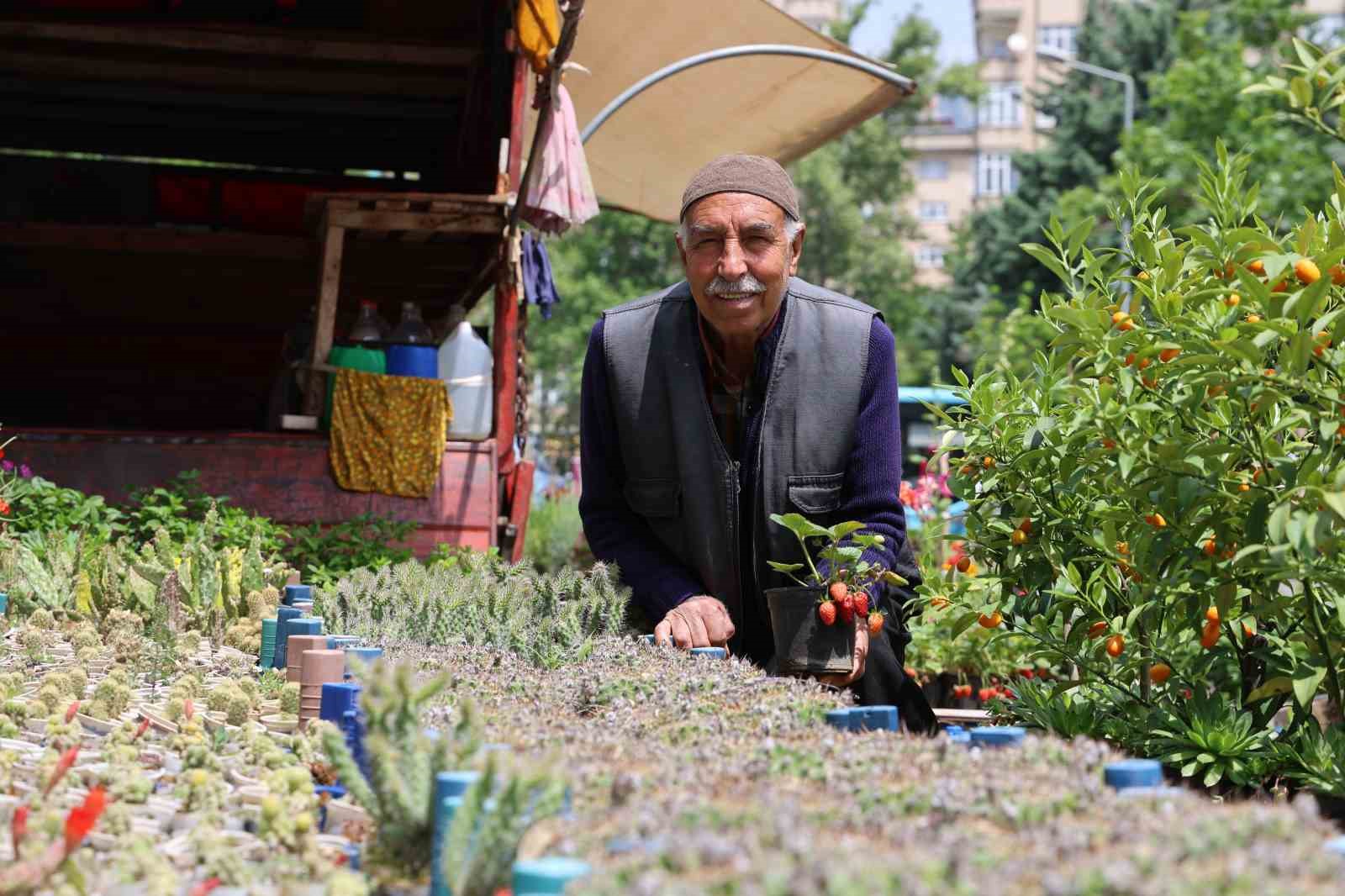 60 yıldır bitki yetiştirip satıyor