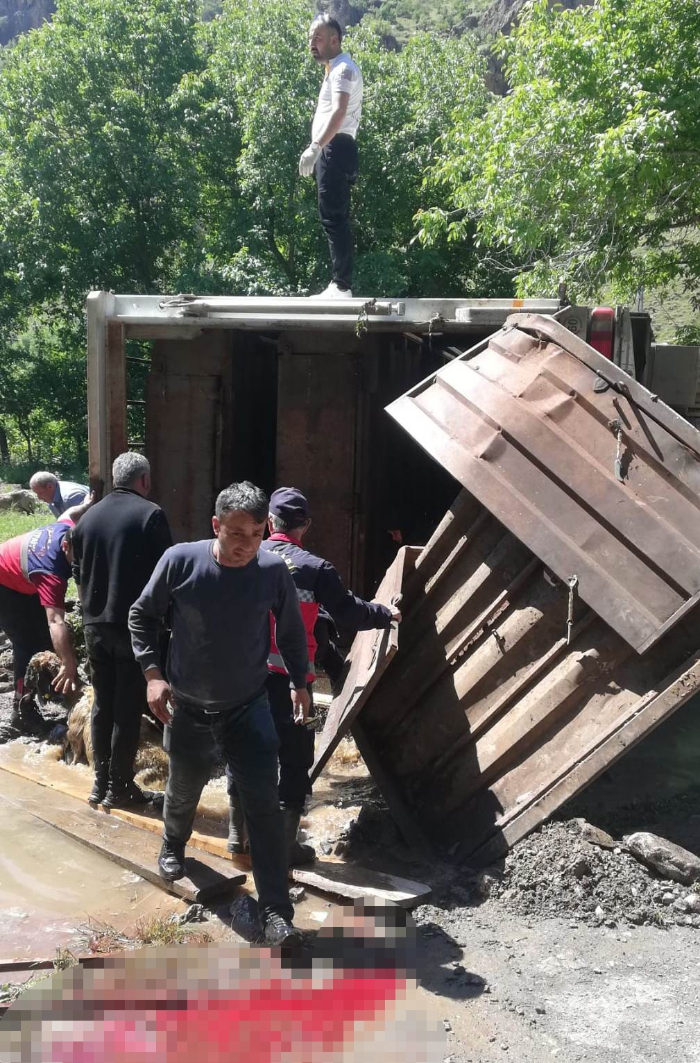 Hakkari’de tır devrildi, onlarca koyun telef oldu