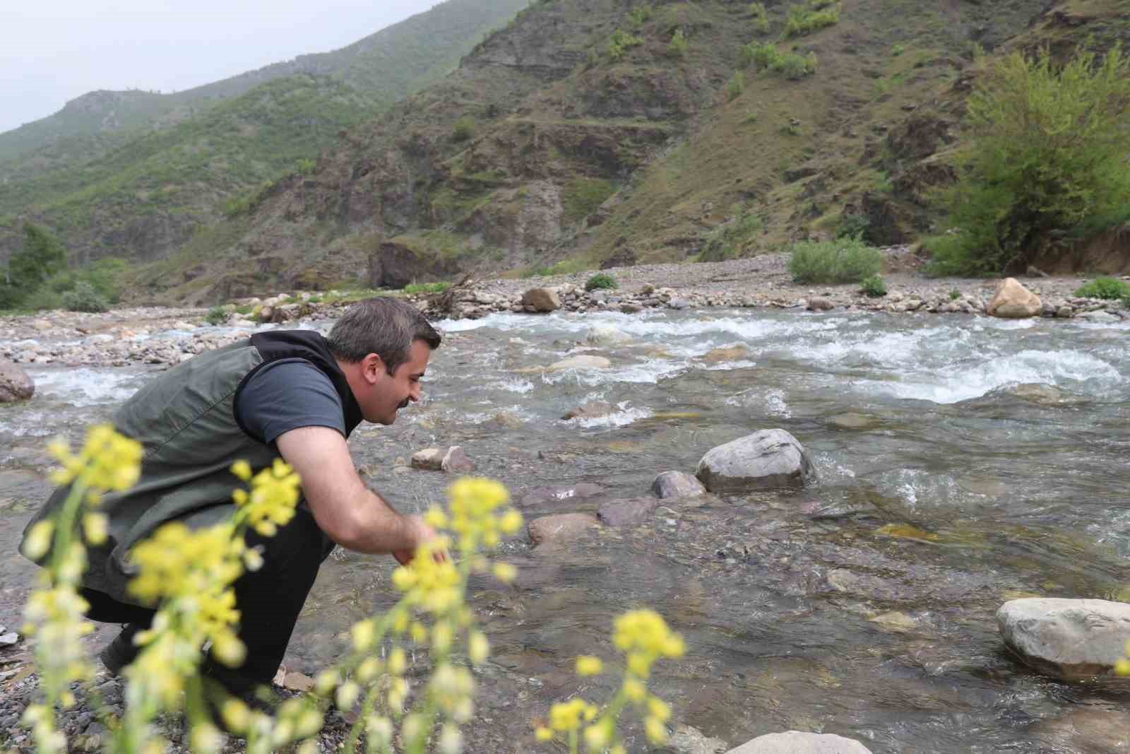 Hakkari’de 29 yıldır boş olan köylere geri dönüş hazırlığı