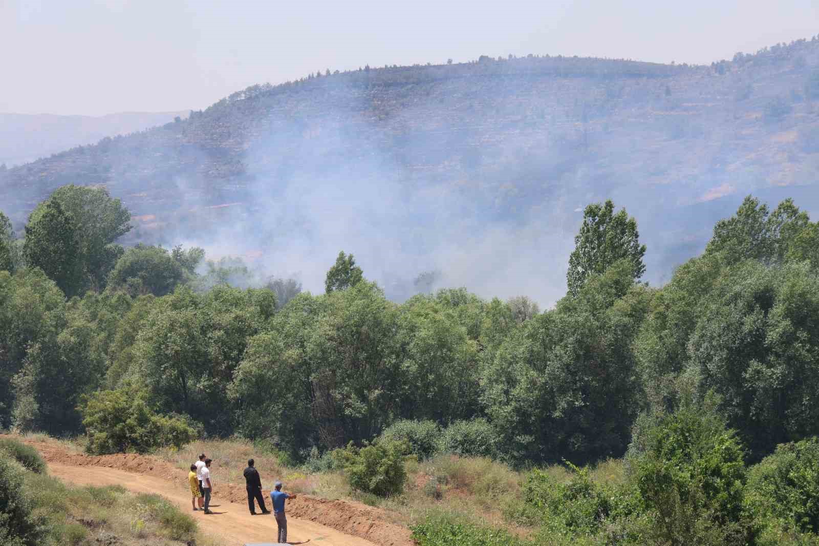 Elazığ’da orman yangını: Ekiplerin havadan ve karadan müdahalesi sürüyor