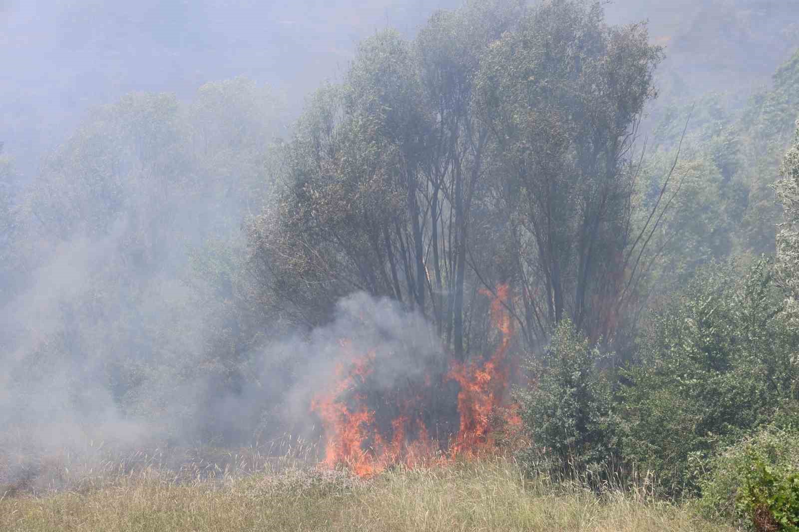 Elazığ’da orman yangını: Ekiplerin havadan ve karadan müdahalesi sürüyor