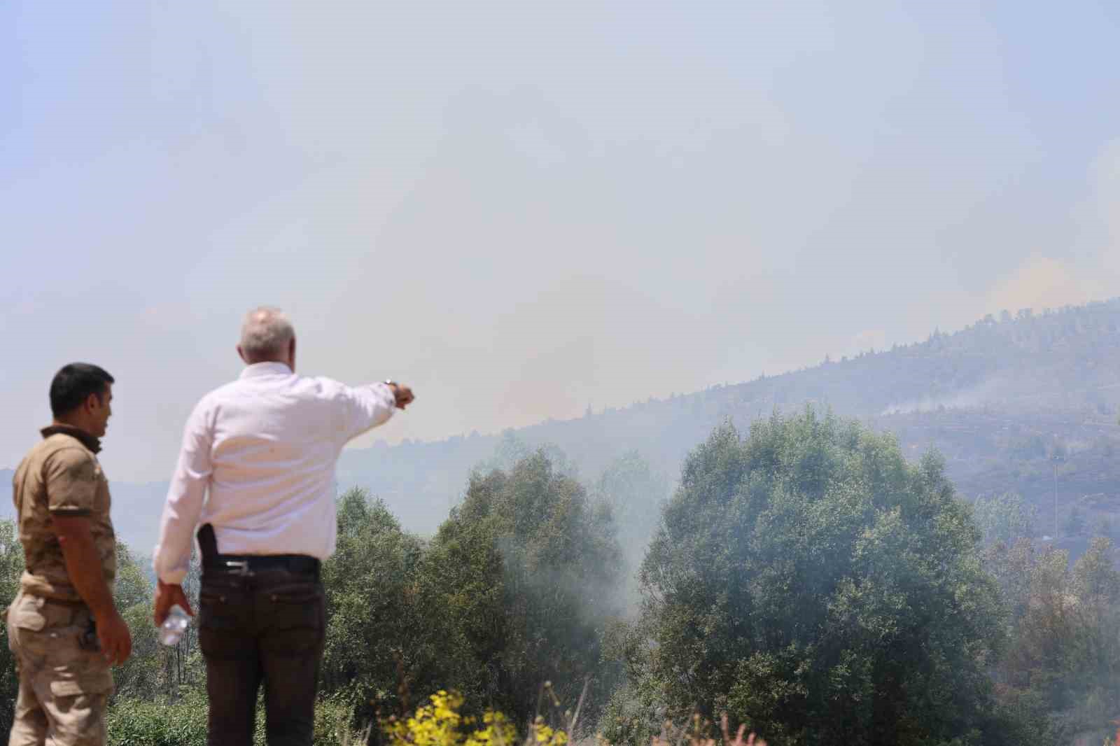 Elazığ’da orman yangını: Ekiplerin havadan ve karadan müdahalesi sürüyor