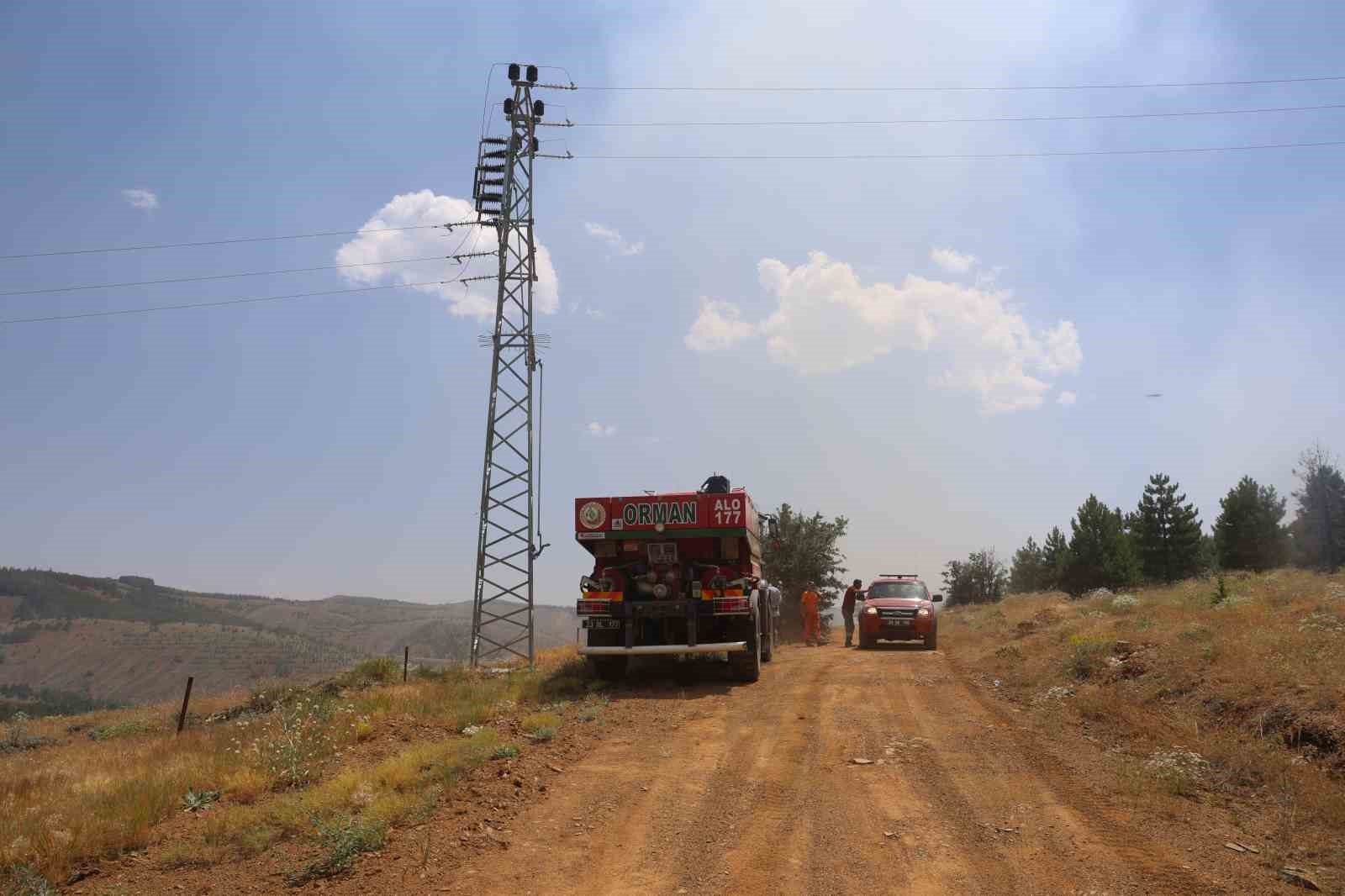 Elazığ’da orman yangını: Ekiplerin havadan ve karadan müdahalesi sürüyor