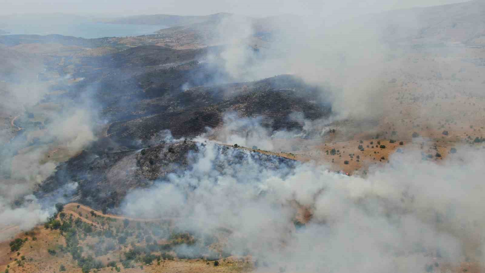 Elazığ’da orman yangını: Ekiplerin havadan ve karadan müdahalesi sürüyor