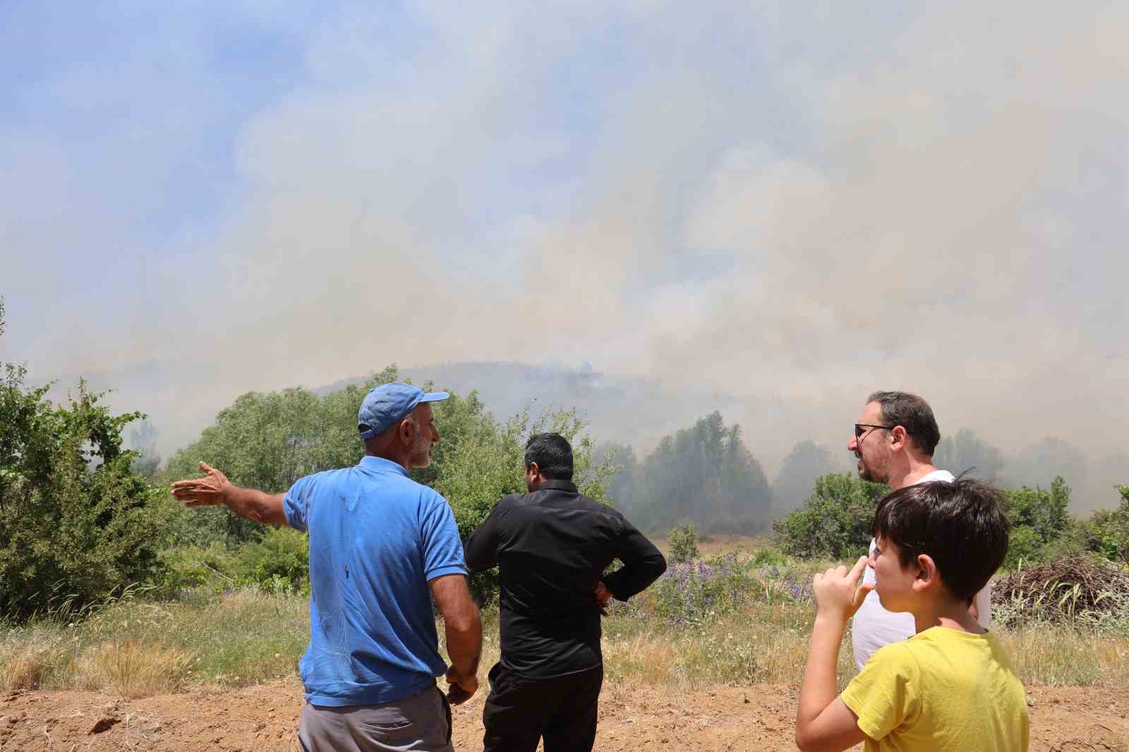 Elazığ’da orman yangını: Ekiplerin havadan ve karadan müdahalesi sürüyor