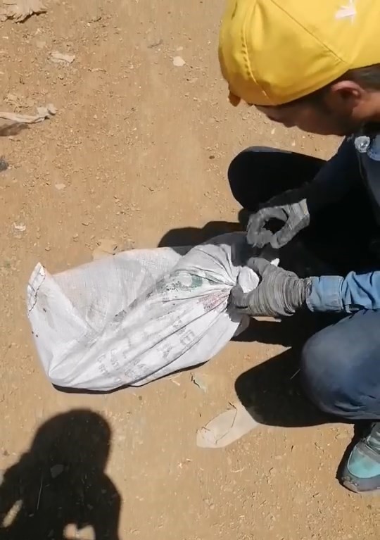 Elazığ’da çuvala konulan köpek ölüme terk edildi