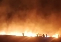 Tunceli’de korkutan yangın: 100 dönümlük ekili alan zarar gördü