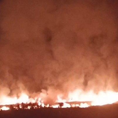 Tunceli’de korkutan yangın: 100 dönümlük ekili alan zarar gördü