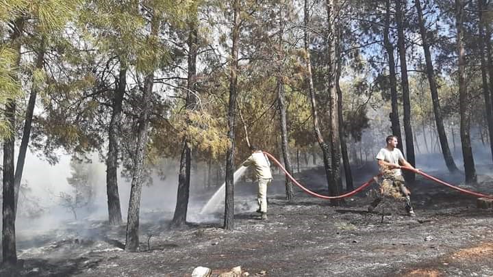 Denizli’de orman yangını kısa sürede kontrol altına alındı