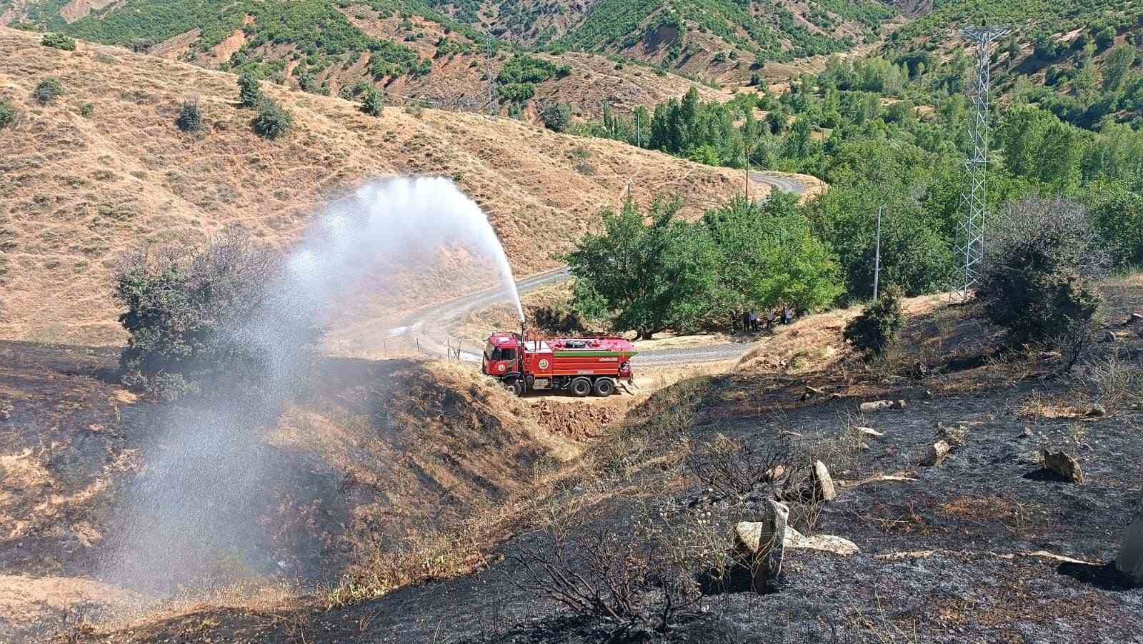 Bingöl’de kırsal alanda çıkan yangın ormana sıçramadan söndürüldü