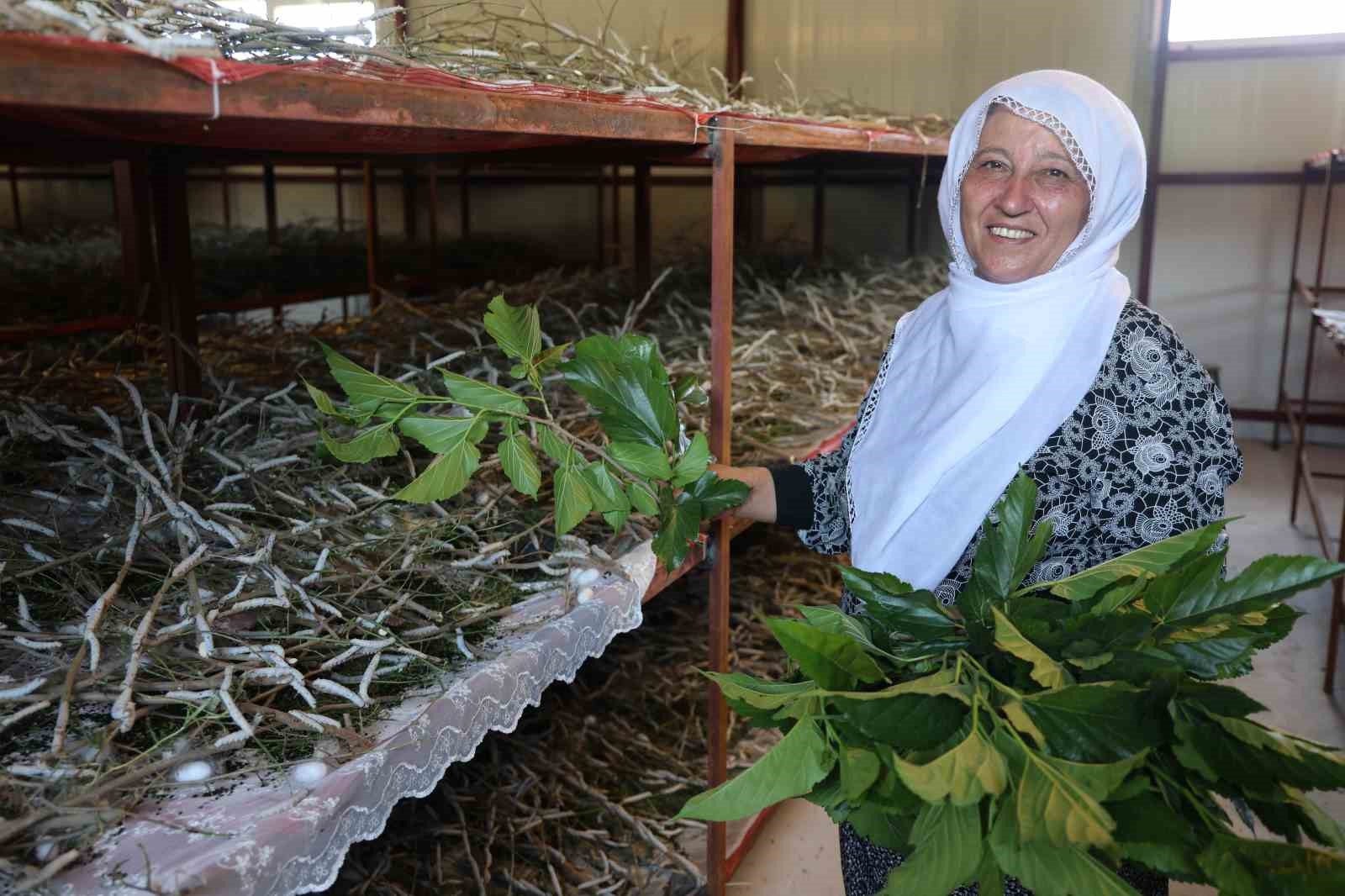 Babaannesinden esinlendi, Elazığ tarihinin en büyük ipek böcekçiliği çiftliğini kurdu