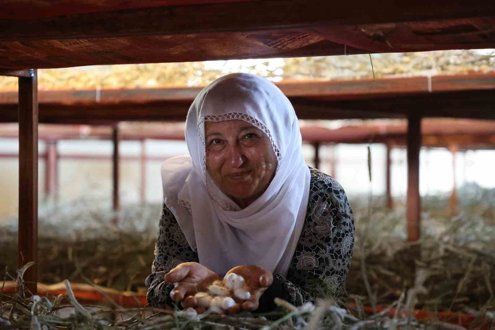 Babaannesinden esinlendi, Elazığ tarihinin en büyük ipek böcekçiliği çiftliğini kurdu