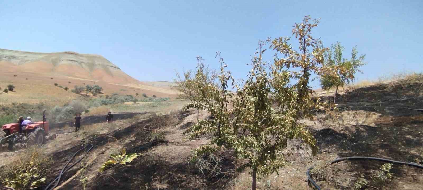 Yangın badem ve fıstık ağaçlarına zarar verdi