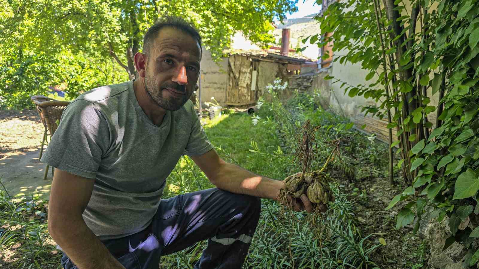 Bu çiçeğin kolonyası baş ağrısını gideriyor, sabunu gençleştiriyor